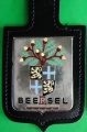 Beersel.pol.jpg