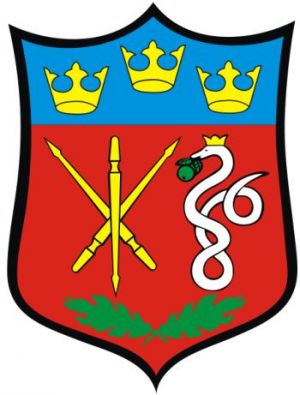 Arms of Dłutów