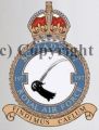 No 197 Squadron, Royal Air Force.jpg