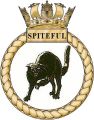 HMS Spiteful, Royal Navy.jpg