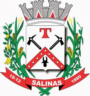 Brasão de Salinas (Minas Gerais)/Arms (crest) of Salinas (Minas Gerais)