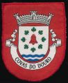 Brasão de Covas do Douro/Arms (crest) of Covas do Douro