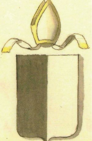 Arms of Giorgio Buchi