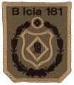 181st Intelligence Battalion, Argentine Army.jpg