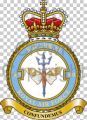 No 360 Squadron, Royal Air Force1.jpg