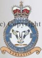 No 187 Squadron, Royal Air Force.jpg