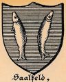Wappen von Saalfeld an der Saale/ Arms of Saalfeld an der Saale