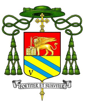 Arms of Mario Vianello