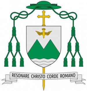 Arms of Pier Giorgio Micchiardi