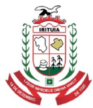 Arms (crest) of Irituia