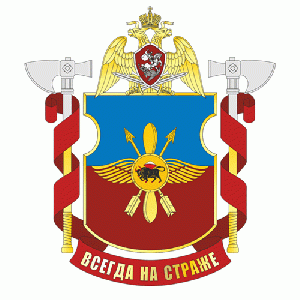 Separate Aviation Squadron Engels, National Guard of the Russian Federation.gif