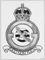 No 245 (Northern Rhodesia) Squadron, Royal Air Force.jpg