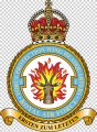 No 1 Force Protection Wing, Royal Air Force1.jpg