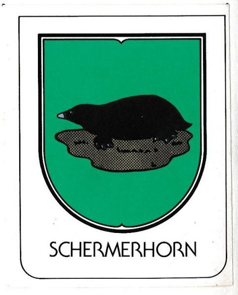 File:Schermerhorn.pva.jpg