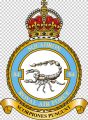 No 84 Squadron, Royal Air Force1.jpg
