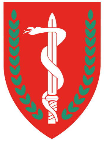 Arms of Medical Corps, Israeli Ground Forces