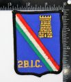 2nd Combat Engineer Battalion, Mexican Army.jpg