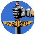 25th Air Support Operations Squadron, US Air Force.png