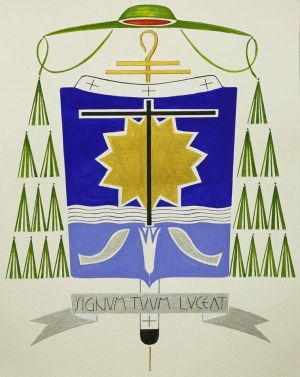 Arms of Darci José Nicioli