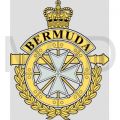 The Royal Bermuda Regiment, British Army.jpg