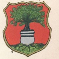 Arms (crest) of Týniště nad Orlicí