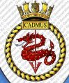 HMS Cadmus, Royal Navy.jpg