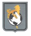 11th Cyber Battalion, US Army.jpg