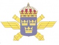 Air Defence Regiment, Swedish Army.jpg