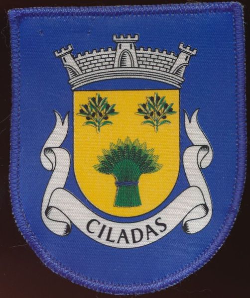 File:Ciladas.patch.jpg