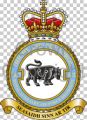 No 2622 (Highland) Squadron, Royal Auxiliary Air Force Regiment.jpg