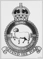 No 918 (County of Derby) Balloon Squadron, Auxiliary Air Force.jpg