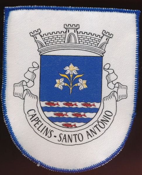 File:Capelinssa.patch.jpg