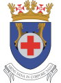 Medical Directorate, Portuguese Air Force.png