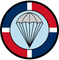 Special Forces Command, Dominican Republic Air Force.png