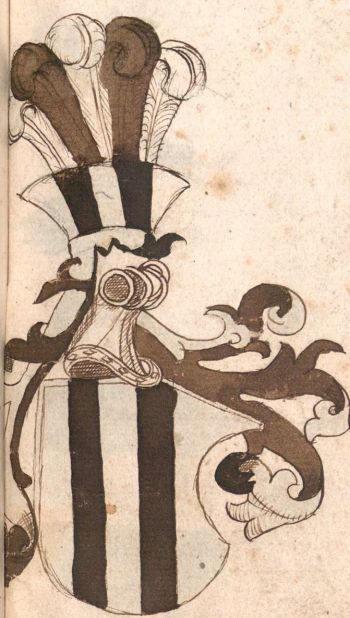 Wappen von County Wittgenstein/Coat of arms (crest) of County Wittgenstein