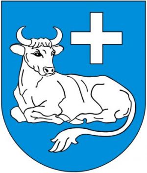 Arms of Człuchów (rural municipality)