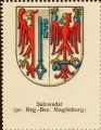 Arms of Salzwedel