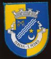 Brasão de São Pedro de Terena/Arms (crest) of São Pedro de Terena