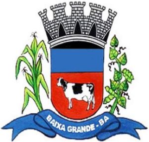 Arms (crest) of Baixa Grande