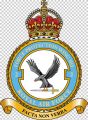 No 2 Force Protection Wing, Royal Air Force2.jpg