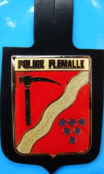 File:Flemalle.pol.jpg