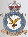 No 216 Squadron, Royal Air Force.jpg