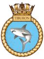 Training Ship Tiburon, South African Sea Cadets.jpg