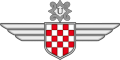 Croatian Air Force Legion.png