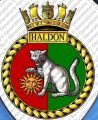 HMS Haldon, Royal Navy.jpg