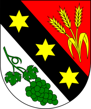 Arms (crest) of Laurentius Mayer
