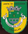 Brasão de Caldelas (Guimarães)/Arms (crest) of Caldelas (Guimarães)