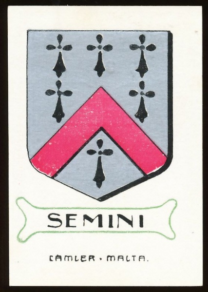 File:Semini.cam.jpg