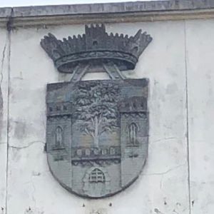 Arms of Oliveira de Azeméis