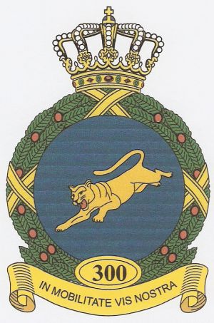 300th Squadron, Netherlands Air Force.jpg